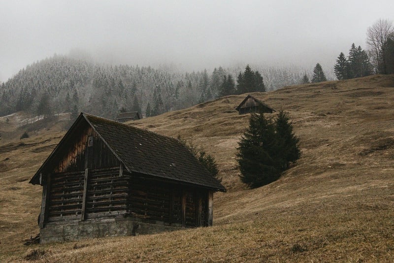 Cozy Cabin in the Woods